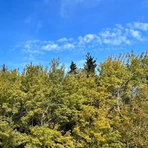 Meet your Posher, Chelsea